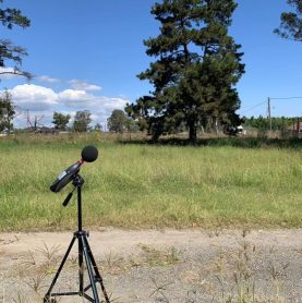 Environmental Acoustic Test by dbmeter